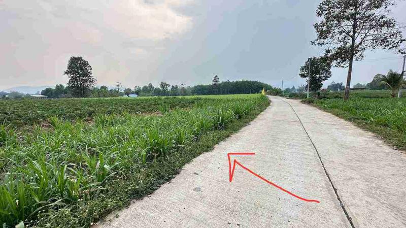 ที่ดิน 3000000 อุดรธานี หนองวัวซอ โนนหวาย